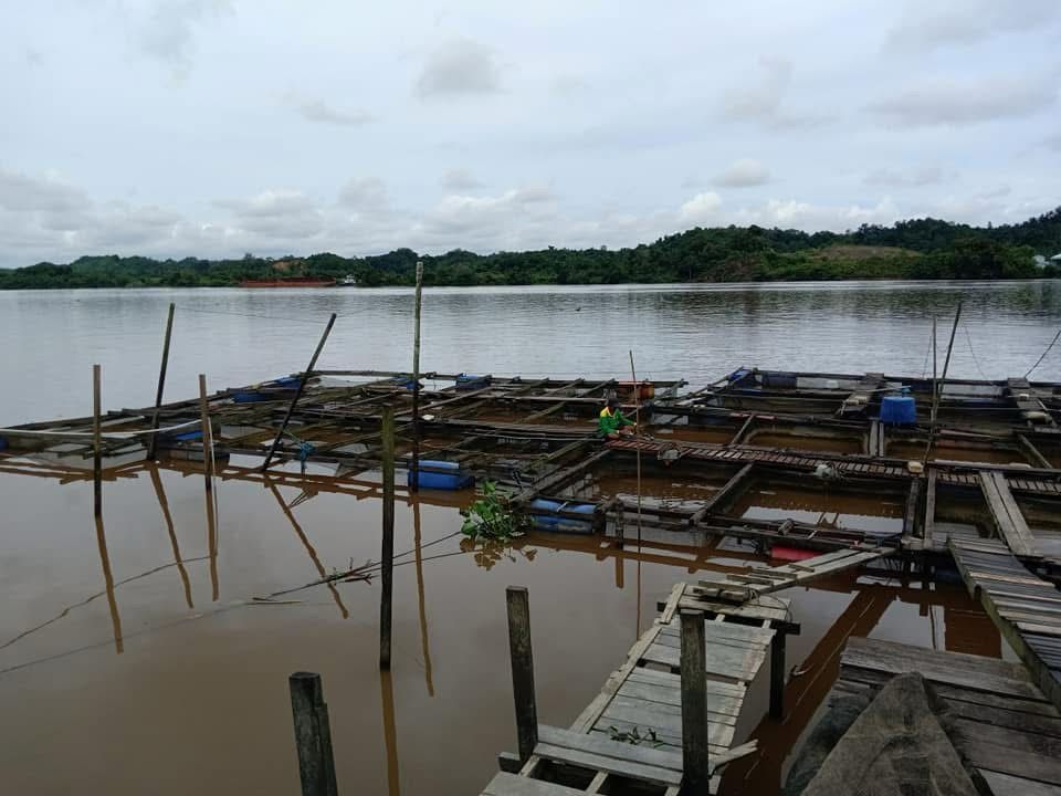Perkuat Sektor Perikanan dan Pariwisata, Muara Muntai Ilir Pacu Ekonomi Desa
