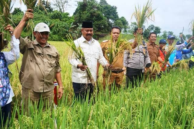 Kukar Bidik Jadi Sentra Pangan Kaltim, Perlu Dukungan Proteksi Harga dan Distribusi