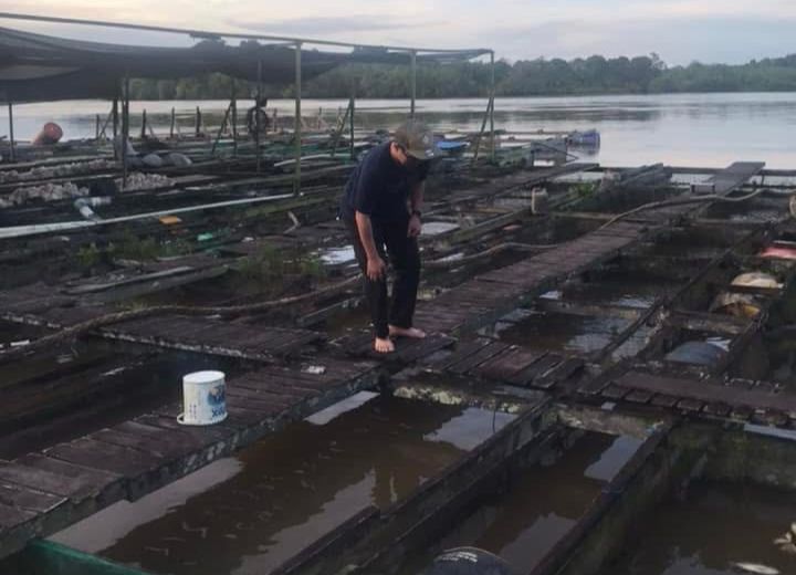 Produksi Ikan Desa Embalut Stabil 2 Ton per Hari, Dorong Ekonomi Warga