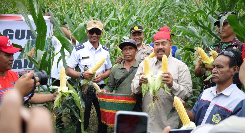 Perkuat Ketahanan Pangan, Bupati Kukar Panen Jagung dan Ikan di Maluhu
