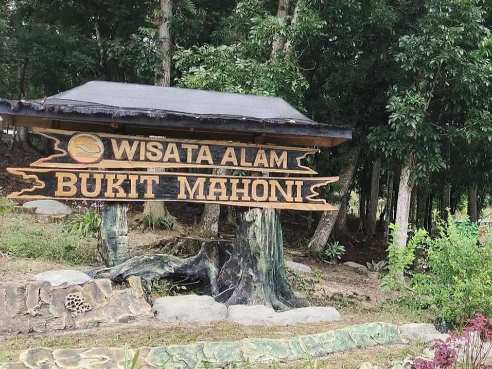 Desa Bangun Rejo Kembangkan Taman Kulut dan Mahoni, Target Jadi Ikon Wisata Baru