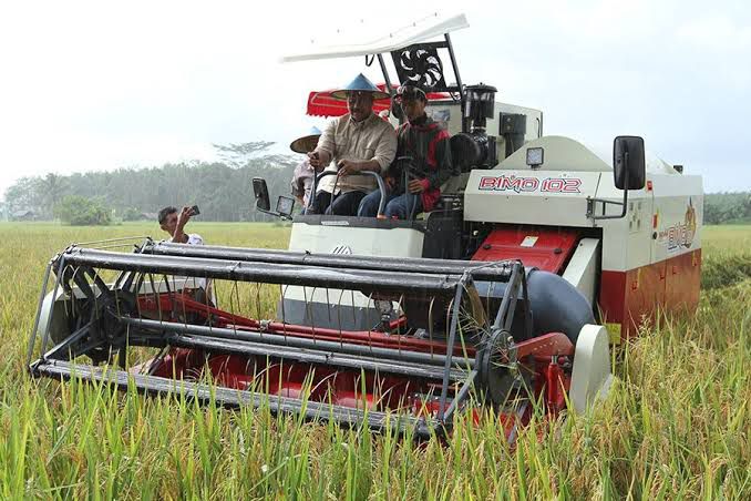 Karang Tunggal Optimalkan Lahan Sawah dan Ladang, Solimin Targetkan Ketahanan Pangan Mandiri