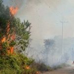 Karhutla Kaltim Meningkat di Agustus, Lebih dari 1.000 Hektare Terbakar